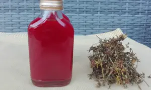 Czerwony olej z dziurawca w butelce i garść suszonych ziół. Olej z dziurawca na co pomaga? Na uspokojenie i regenerację skóry.