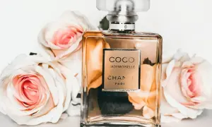 Elegancka butelka Coco Mademoiselle Chanel otoczona różowymi różami. Perfumowana woda toaletowa pachnie dłużej niż woda toaletowa.