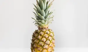 Dojrzały ananas, symbol tropikalnej świeżości. Jego sok to bogactwo witamin i bromelainy, znanej z licznych sok z ananasa właściwości.