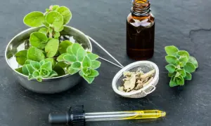 Naturalne wsparcie dla zatok: świeże zioła, suszone liście i olejek z oregano w buteleczce z pipetą.