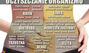 Grafika przedstawia schemat oczyszczania organizmu z produktami wspierającymi szybki detoks odchudzający dla KREW, LIMFA, WĄTROBA, WORECZEK ŻÓŁCIOWY, TRZUSTKA, NERKI, JELITA.