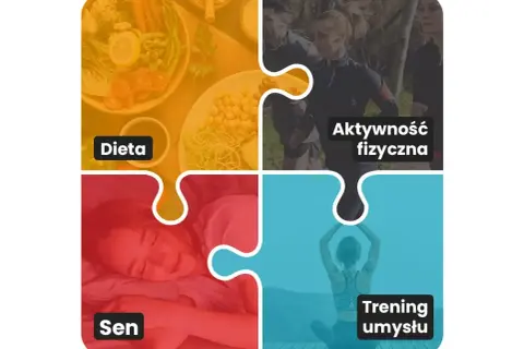 Biohacking co to? Obrazek pokazuje cztery filary: dietę, aktywność fizyczną, sen i trening umysłu, jako elementy optymalizacji życia.