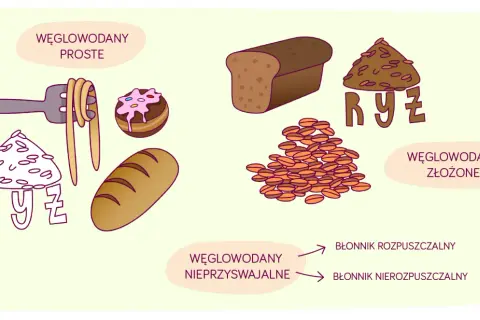 Ilustracja pokazuje węglowodany proste (makaron, słodkości) i złożone (chleb, ryż). Węglowodany nieprzyswajalne to błonnik rozpuszczalny i nierozpuszczalny, kluczowe dla zdrowia.