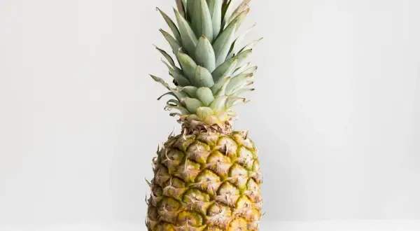 Dojrzały ananas, symbol tropikalnej świeżości. Jego sok to bogactwo witamin i bromelainy, znanej z licznych sok z ananasa właściwości.