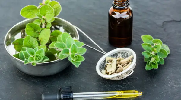 Naturalne wsparcie dla zatok: świeże zioła, suszone liście i olejek z oregano w buteleczce z pipetą.