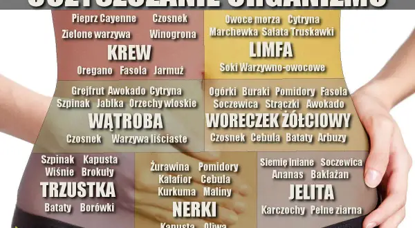Grafika przedstawia schemat oczyszczania organizmu z produktami wspierającymi szybki detoks odchudzający dla KREW, LIMFA, WĄTROBA, WORECZEK ŻÓŁCIOWY, TRZUSTKA, NERKI, JELITA.