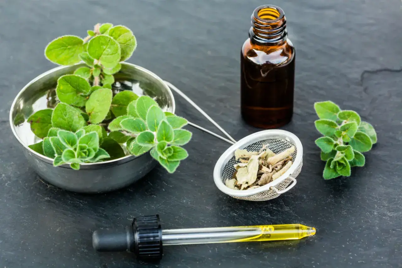 Naturalne wsparcie dla zatok: świeże zioła, suszone liście i olejek z oregano w buteleczce z pipetą.