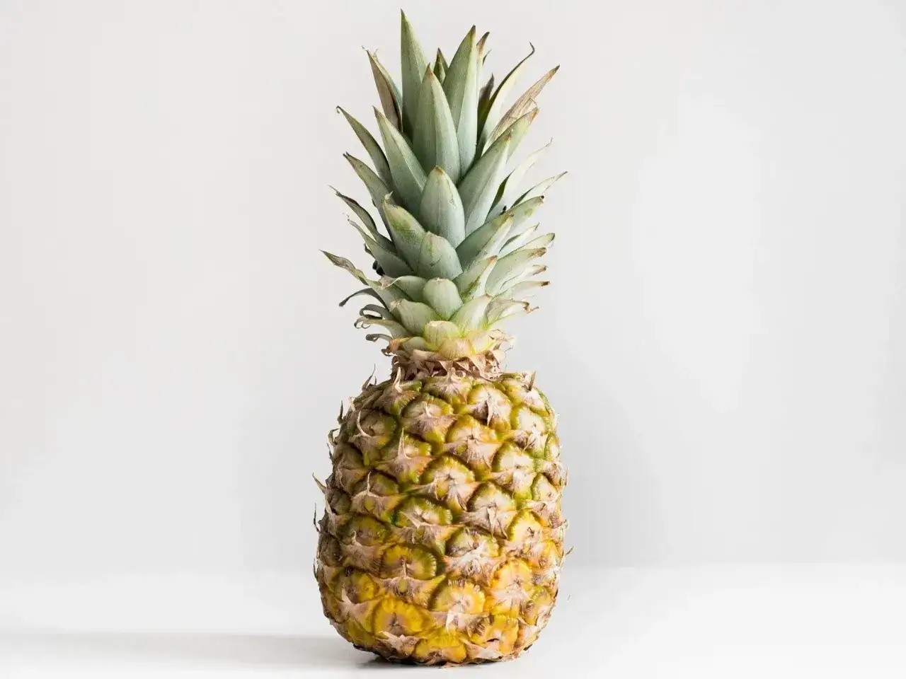 Dojrzały ananas, symbol tropikalnej świeżości. Jego sok to bogactwo witamin i bromelainy, znanej z licznych sok z ananasa właściwości.