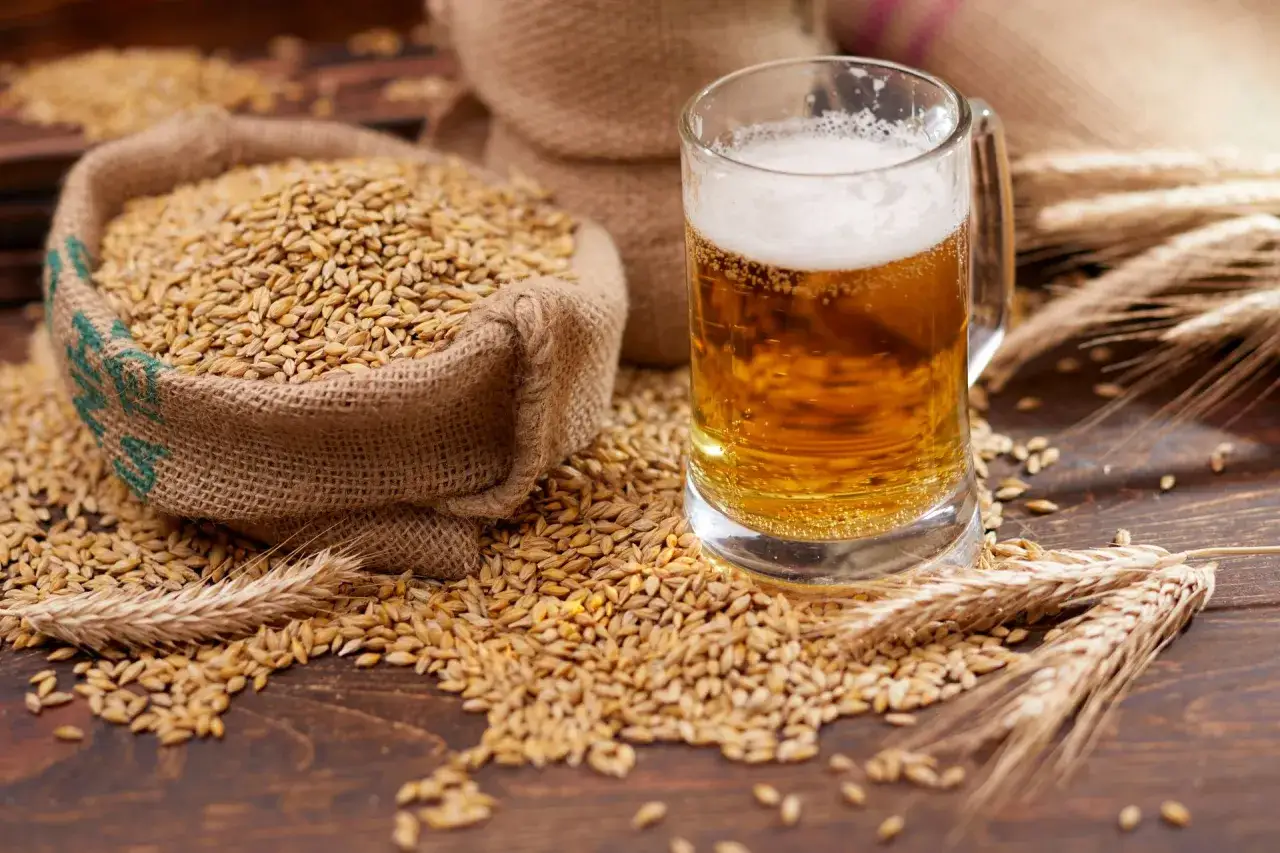 Zboże jęczmienne w worku i piwo w szklance. Czy jęczmień ma gluten? To pytanie nurtuje wielu konsument&oacute;w, zwłaszcza tych dbających o dietę bezglutenową.