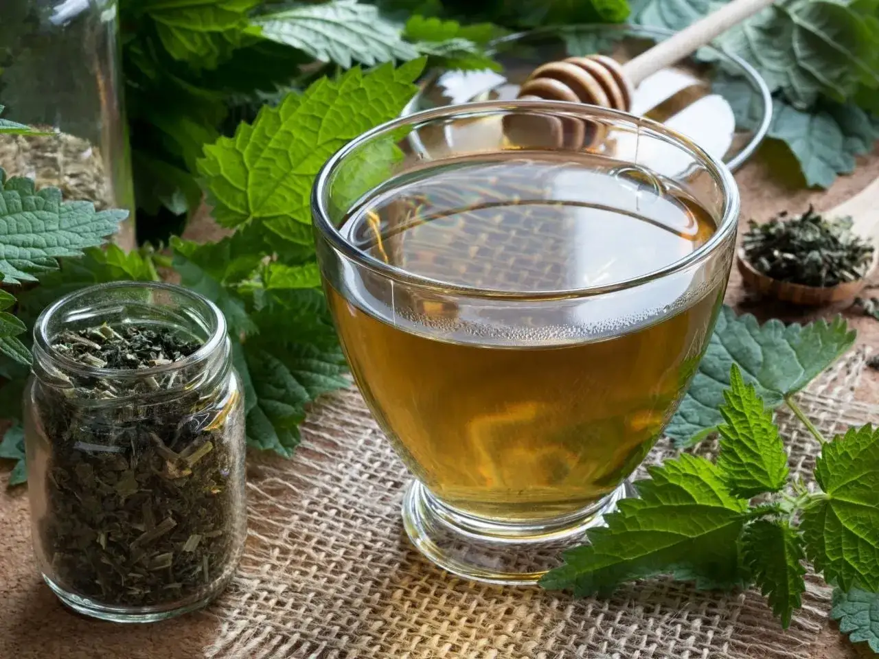 Herbatka z pokrzywy, ziele i mi&oacute;d. Czy pokrzywa obniża ciśnienie? Naturalne sposoby na zdrowie.
