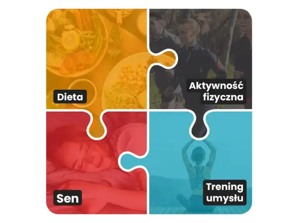 Biohacking co to? Obrazek pokazuje cztery filary: dietę, aktywność fizyczną, sen i trening umysłu, jako elementy optymalizacji życia.