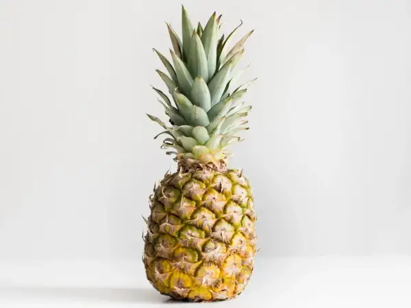 Dojrzały ananas, symbol tropikalnej świeżości. Jego sok to bogactwo witamin i bromelainy, znanej z licznych sok z ananasa właściwości.