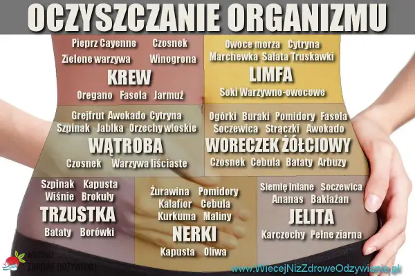 Grafika przedstawia schemat oczyszczania organizmu z produktami wspierającymi szybki detoks odchudzający dla KREW, LIMFA, WĄTROBA, WORECZEK ŻÓŁCIOWY, TRZUSTKA, NERKI, JELITA.