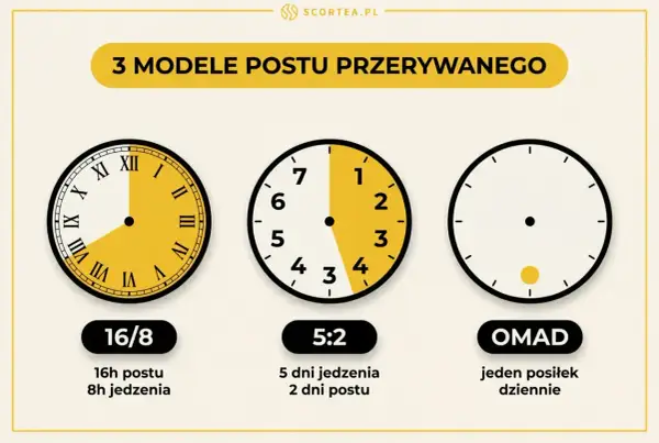Trzy modele postu przerywanego: 16/8 (16h postu, 8h jedzenia), 5:2 (5 dni jedzenia, 2 dni postu) i OMAD (jeden posiłek dziennie).